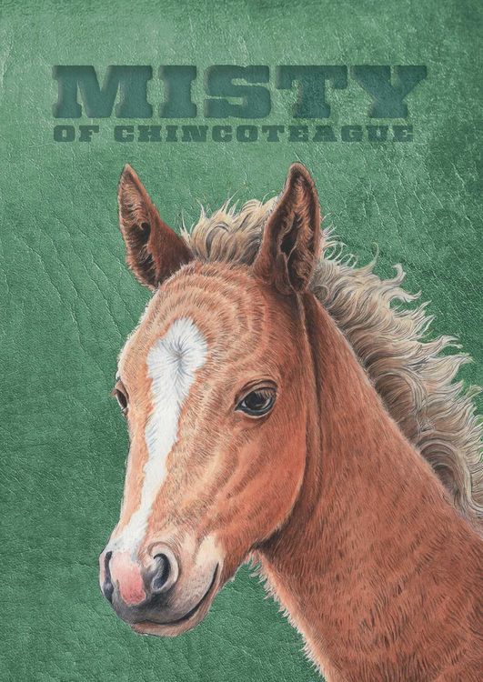 Produktbild: Misty of Chincoteague