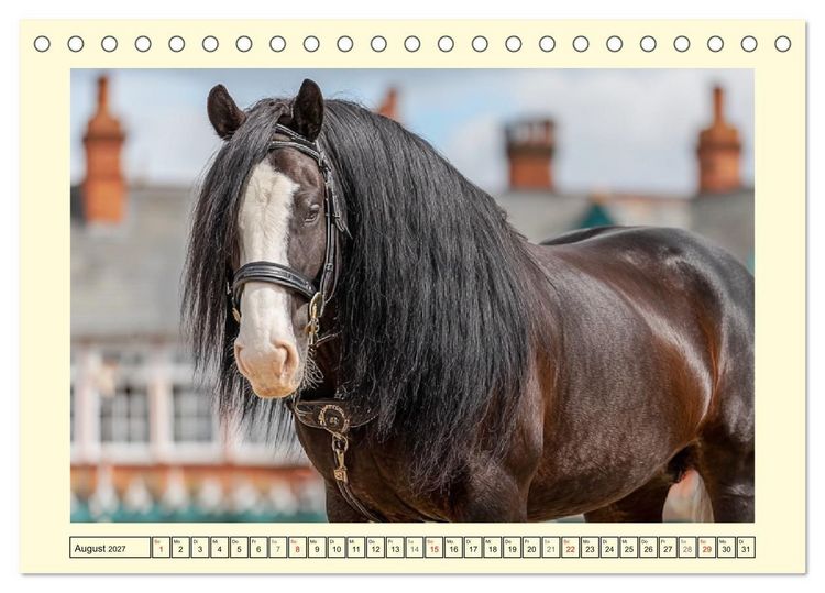 Produktbild: Shire Horse Zauber. Englands elegante Riesen (Tischkalender 2027 DIN A5 quer), CALVENDO Monatskalender