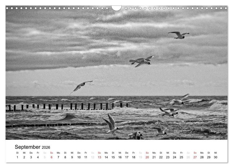 Produktbild: Ostseebad Zingst - Impressionen in Schwarz-Wei&szlig; (Wandkalender 2026 DIN A3 quer), CALVENDO Monatskalender
