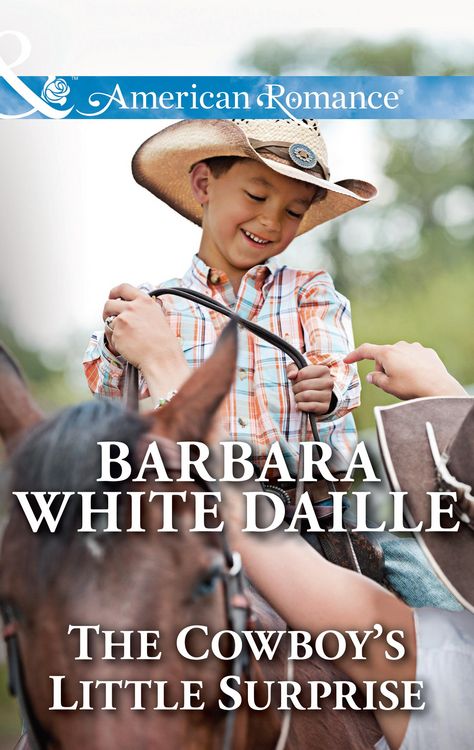 Produktbild: The Cowboy's Little Surprise