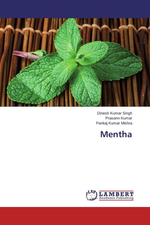 Produktbild: Mentha