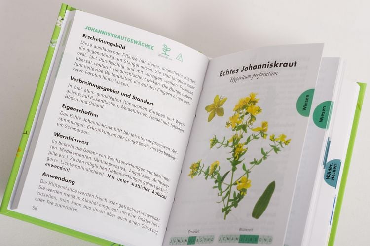 Produktbild: Anaconda Taschenf&uuml;hrer Heilpflanzen. 70 Arten entdecken und bestimmen