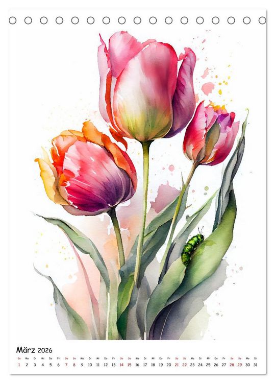 Produktbild: Aquarellmalerei - Blumen und Tiere im Garten (Tischkalender 2026 DIN A5 hoch), CALVENDO Monatskalender