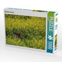 Produktbild: CALVENDO Puzzle Damhirsch im Raps 1000 Teile Lege-Gr&ouml;&szlig;e 64 x 48 cm Foto-Puzzle Bild von Dirk Stamm