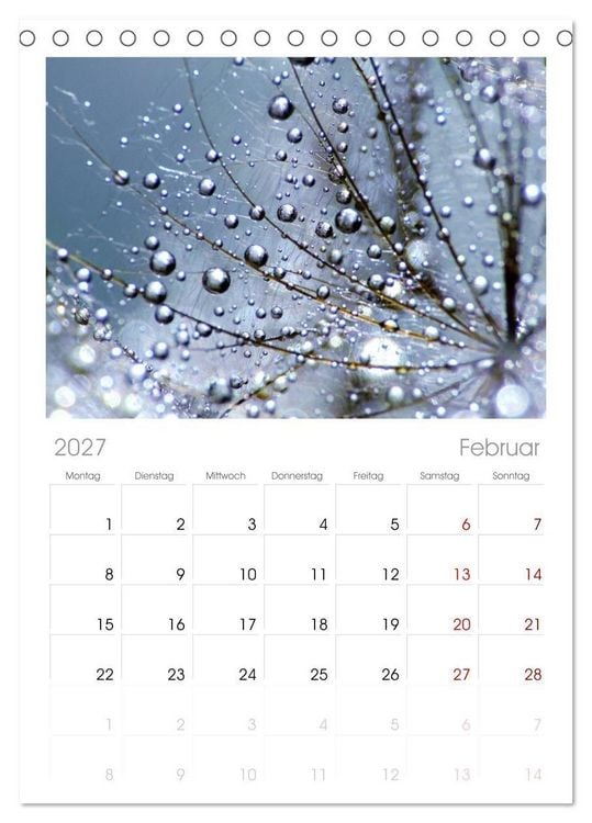 Produktbild: Tischplaner 2027 - Naturjuwel Pusteblume (A5 Tischkalender zum Aufstellen) CALVENDO