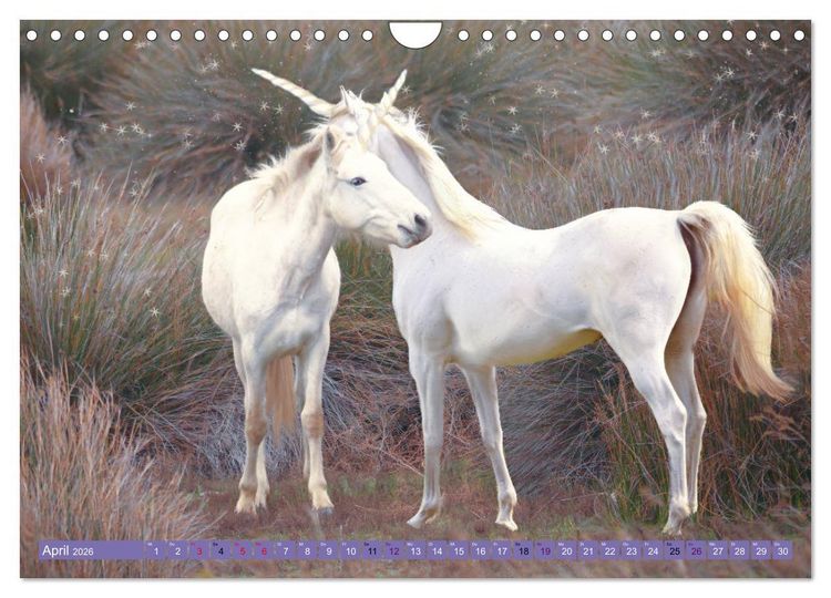 Produktbild: Einhorn Welt - vertr&auml;umte Einhornbilder (Wandkalender 2026 DIN A4 quer), CALVENDO Monatskalender