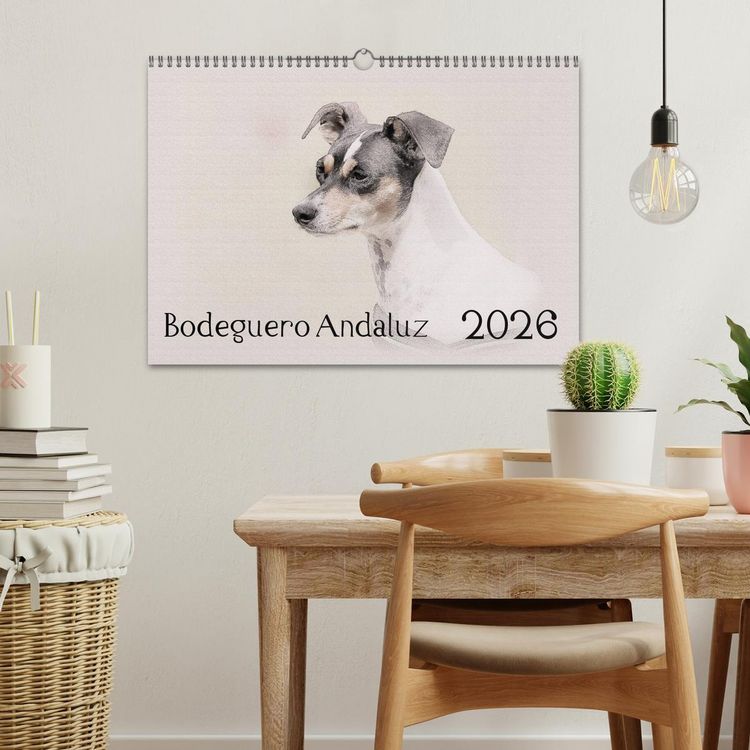 Produktbild: Bodeguero Andaluz 2026 (Wandkalender 2026 DIN A3 quer), CALVENDO Monatskalender