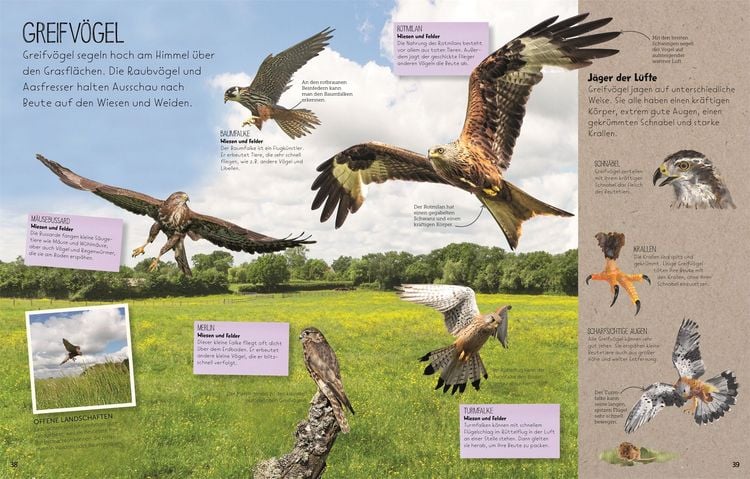 Produktbild: Wilde Natur
