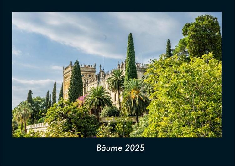 Produktbild: B&auml;ume 2025 Fotokalender DIN A4