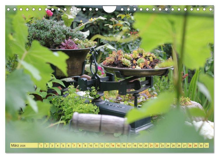 Produktbild: Gartenzauber (Wandkalender 2026 DIN A4 quer), CALVENDO Monatskalender