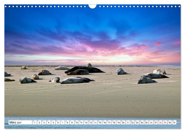 Produktbild: Verliebt in Borkum (Wandkalender 2027 DIN A3 quer), CALVENDO Monatskalender