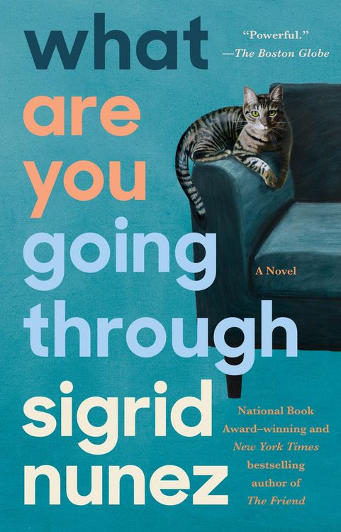 Produktbild: What Are You Going Through