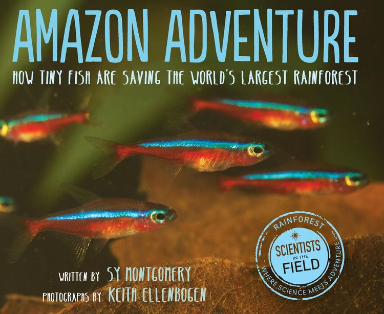 Produktbild: Amazon Adventure