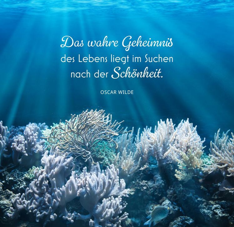 Produktbild: Mehr Meer, bitte!