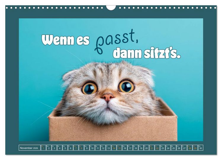 Produktbild: Katzenhumor - Ein Jahr voller Flauschalarm (Wandkalender 2026 DIN A3 quer), CALVENDO Monatskalender