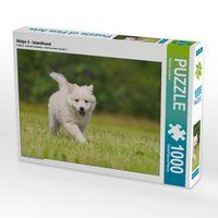 Produktbild: CALVENDO Puzzle Welpe 5 - Islandhund 1000 Teile Lege-Gr&ouml;&szlig;e 64 x 48 cm Foto-Puzzle Bild von Monika Scheurer