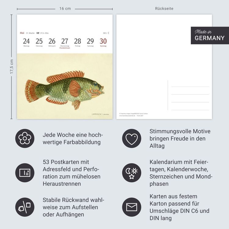 Produktbild: Fische Postkartenkalender 2027 - Postkartenkalender mit 53 historischen Zeichnungen