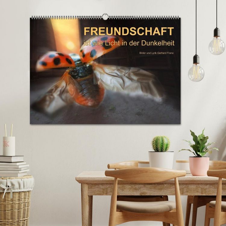 Produktbild: Freundschaft (Wandkalender 2026 DIN A2 quer), CALVENDO Monatskalender