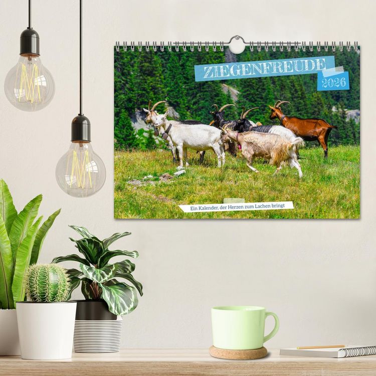Produktbild: Ziegenfreude (Wandkalender 2026 DIN A4 quer), CALVENDO Monatskalender