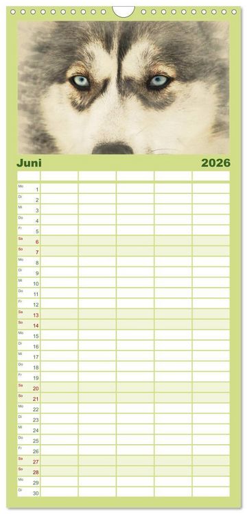 Produktbild: Familienplaner 2026 - Schlittenhunde 2026 mit 5 Spalten (Wandkalender, 21 x 45 cm) CALVENDO