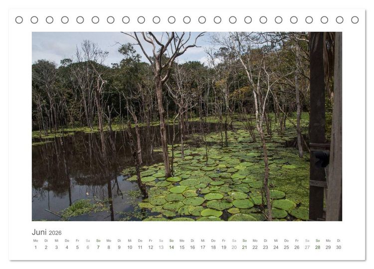 Produktbild: Amazonas, eine Reise entlang seiner Ufer (Tischkalender 2026 DIN A5 quer), CALVENDO Monatskalender