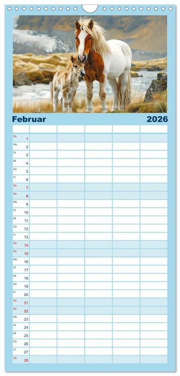 Produktbild: Familienplaner 2026 - Tierkinder des Nordens mit 5 Spalten (Wandkalender, 21 x 45 cm) CALVENDO