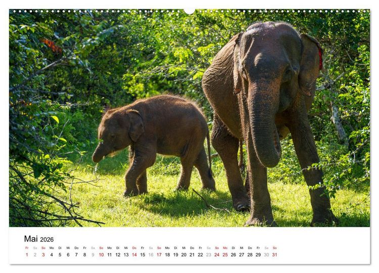 Produktbild: Urlaub in Sri Lanka - Reise durch Asien, Kultur und Natur (hochwertiger Premium Wandkalender 2026 DIN A2 quer), Kunstdruck in Hochglanz