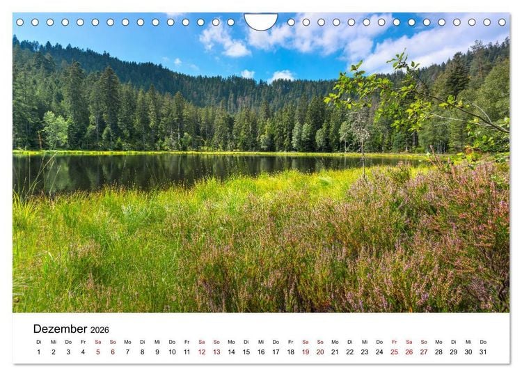 Produktbild: Schwarzwald, Seen und Hochmoore (Wandkalender 2026 DIN A4 quer), CALVENDO Monatskalender