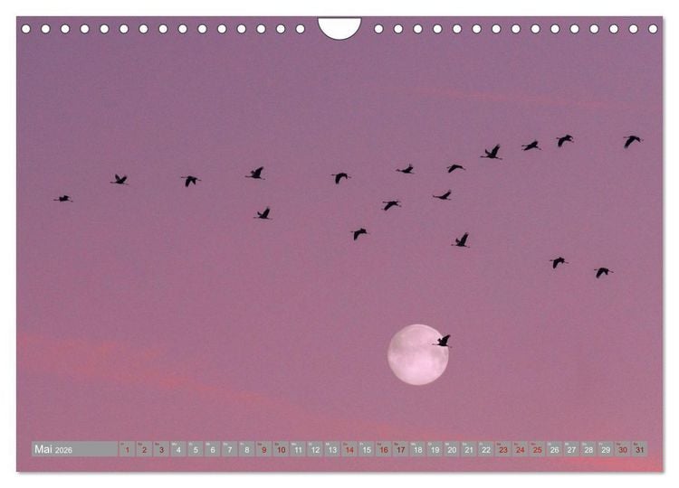 Produktbild: Vollmond - Momente der Ruhe (Wandkalender 2026 DIN A4 quer), CALVENDO Monatskalender