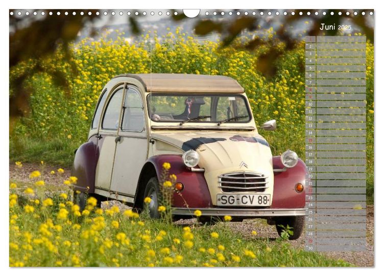Produktbild: Kultautomobil Ente Citro&euml;n 2CV (Wandkalender 2025 DIN A3 quer), CALVENDO Monatskalender