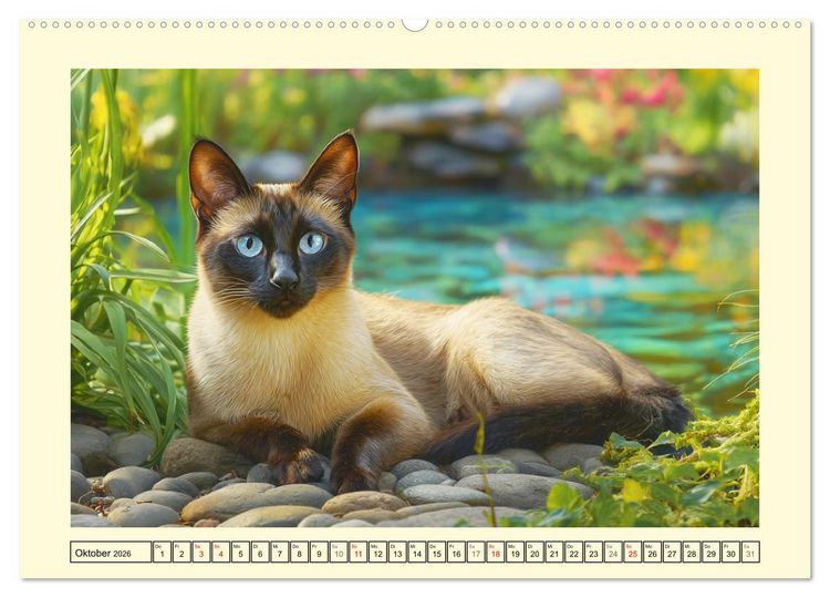 Produktbild: Edle Siamkatzen. Anmut und Charakter im Spiel mit der Natur (Wandkalender 2026 DIN A2 quer), CALVENDO Monatskalender