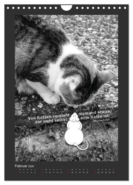 Produktbild: Katz & Maus (Wandkalender 2026 DIN A4 hoch), CALVENDO Monatskalender