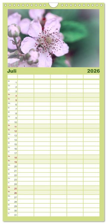 Produktbild: Familienplaner 2026 - Traum Blumen mit 5 Spalten (Wandkalender, 21 x 45 cm) CALVENDO