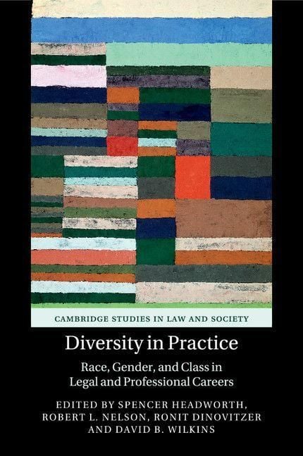 Produktbild: Diversity in Practice