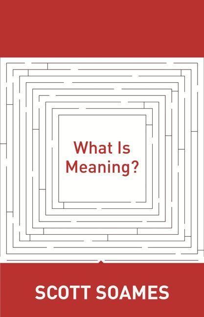 Produktbild: What Is Meaning?