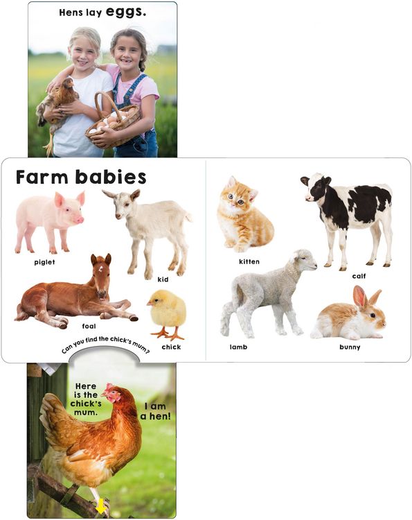 Produktbild: Farm (Slide & Surprise!)