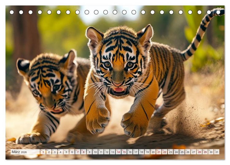 Produktbild: TIERKINDER Abenteuer Wildnis (Tischkalender 2026 DIN A5 quer), CALVENDO Monatskalender