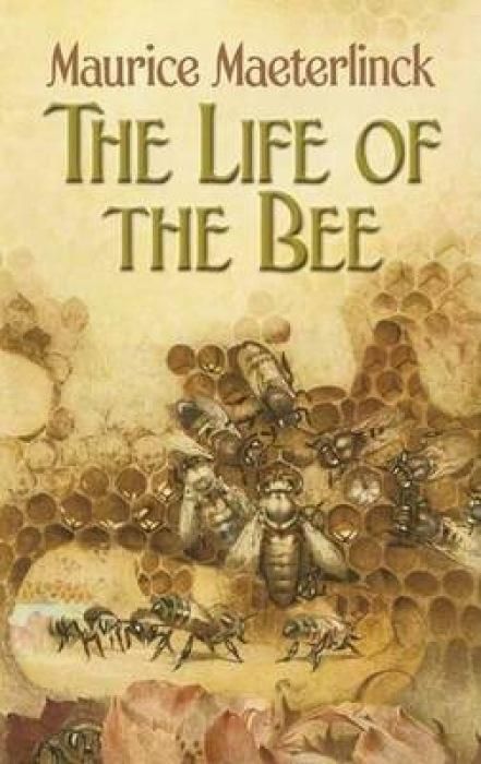 Produktbild: The Life of the Bee