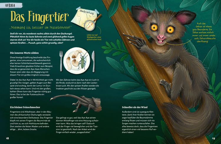 Produktbild: Mein Bestiarium der au&szlig;ergew&ouml;hnlichsten Tiere