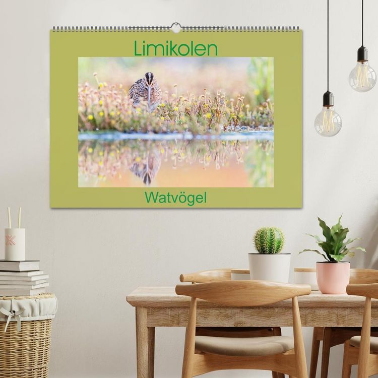 Produktbild: Limikolen - Watv&ouml;gel aus Europa (Wandkalender 2027 DIN A2 quer), CALVENDO Monatskalender