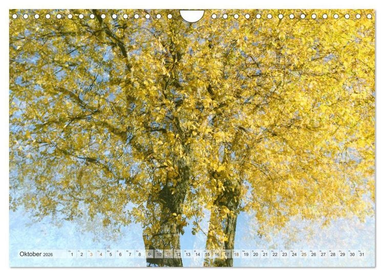 Produktbild: Vielfalt der B&auml;ume - variety of trees (Wandkalender 2026 DIN A4 quer), CALVENDO Monatskalender