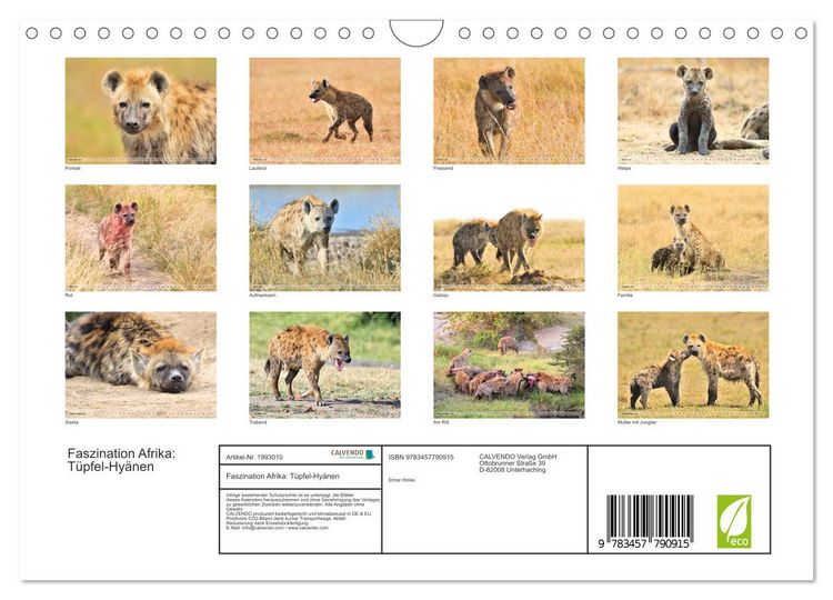 Produktbild: Faszination Afrika: T&uuml;pfel-Hy&auml;nen (Wandkalender 2026 DIN A4 quer), CALVENDO Monatskalender