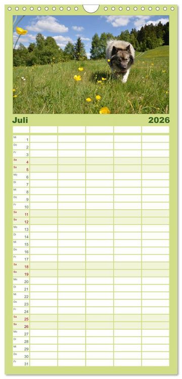 Produktbild: Familienplaner 2026 - Der Wolfsspitz mit 5 Spalten (Wandkalender, 21 x 45 cm) CALVENDO