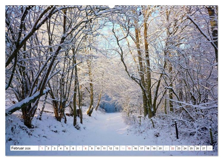 Produktbild: Traumhafte Wege durch die Eifel (hochwertiger Premium Wandkalender 2026 DIN A2 quer), Kunstdruck in Hochglanz