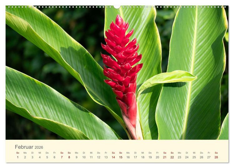 Produktbild: Traumhafte Seychellen (hochwertiger Premium Wandkalender 2026 DIN A2 quer), Kunstdruck in Hochglanz
