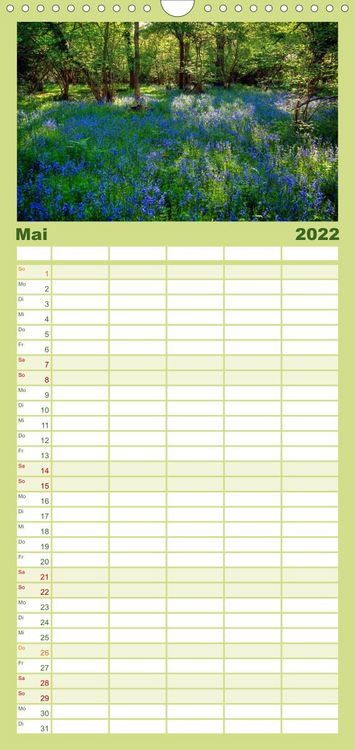 Produktbild: New Forest - England - Familienplaner hoch (Wandkalender 2022 , 21 cm x 45 cm, hoch)