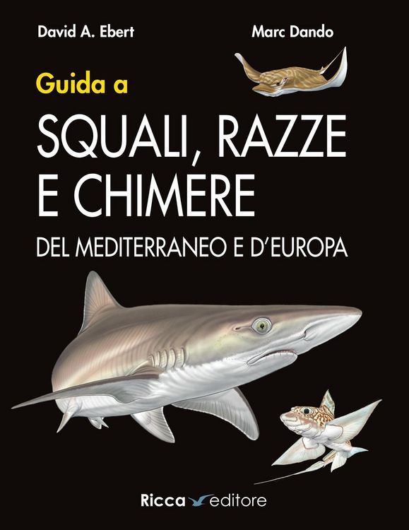 Produktbild: Guida a squali, razze e chimere del Mediterraneo e d'Europa