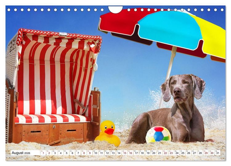 Produktbild: Ohne Hund ist alles nichts - Mit unseren besten Freunden durch das Jahr (Wandkalender 2026 DIN A4 quer), CALVENDO Monatskalender