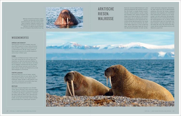 Produktbild: Bildb&auml;nde/illustrierte B&uuml;cher Gigantisch
