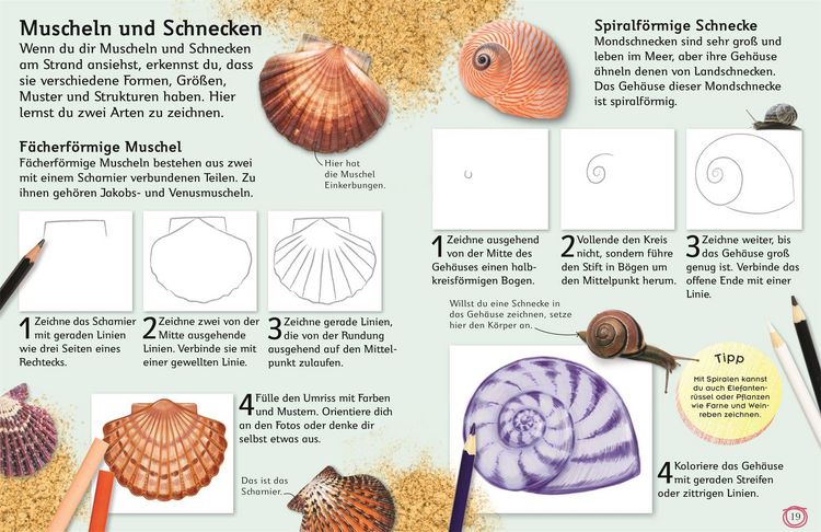Produktbild: Zeichnen lernen